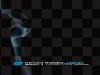 kst-2010-ok____13